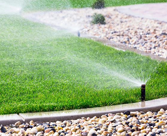 landscaping in Courtenay